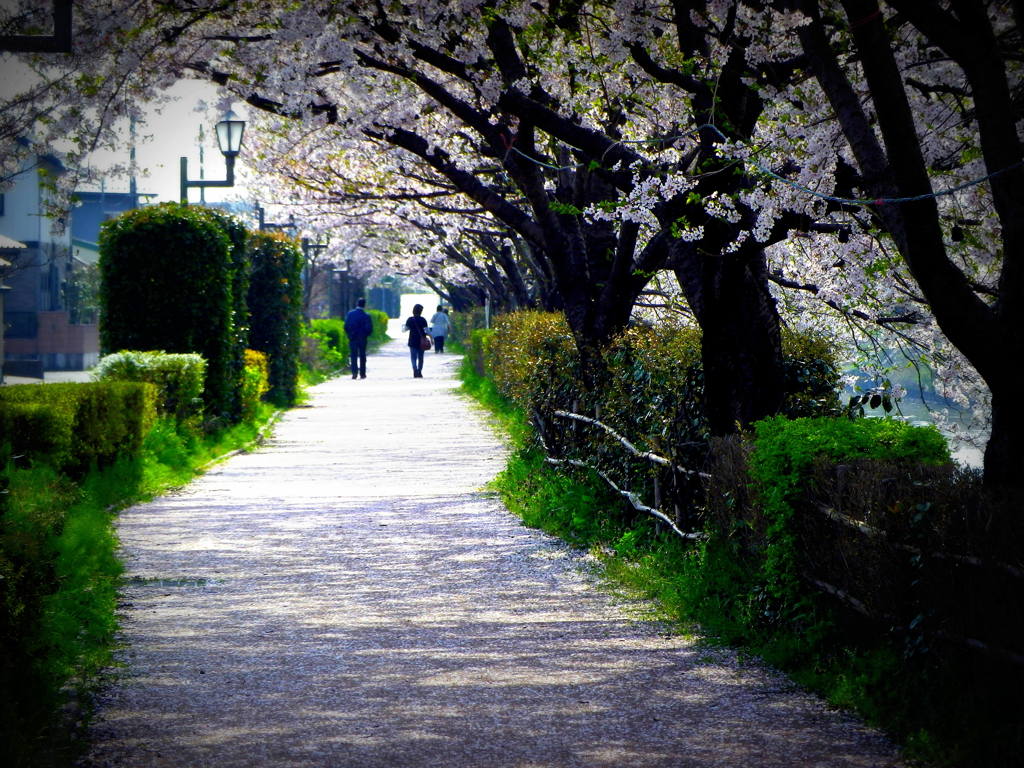 Walk