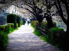 Walk
