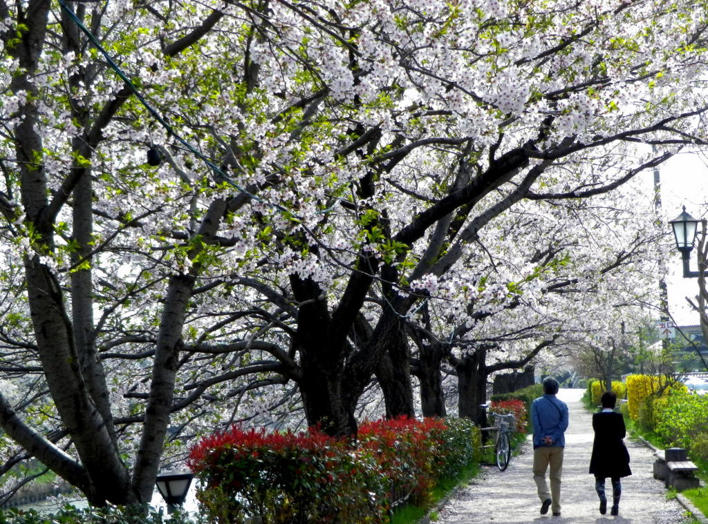waLk