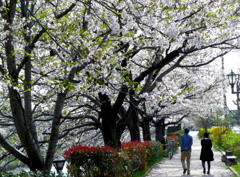 waLk