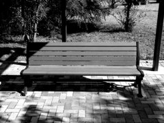 日の当たる椅子