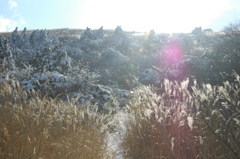 雪舞輝き