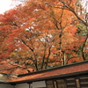 屋根に積もる