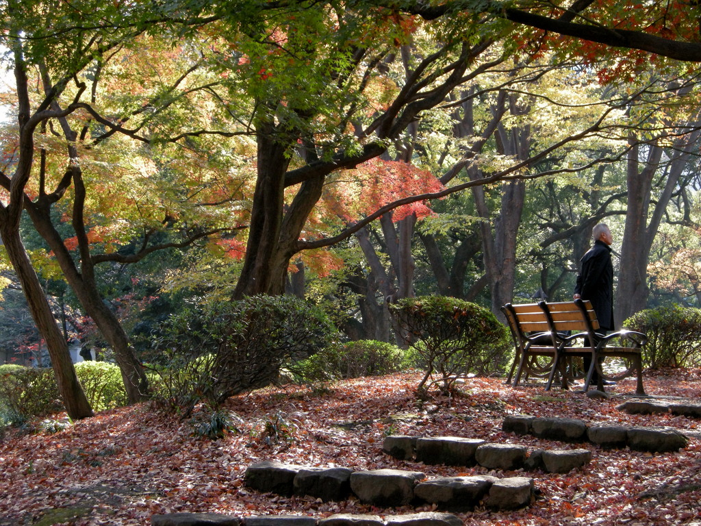 晩秋