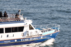 タイタニック