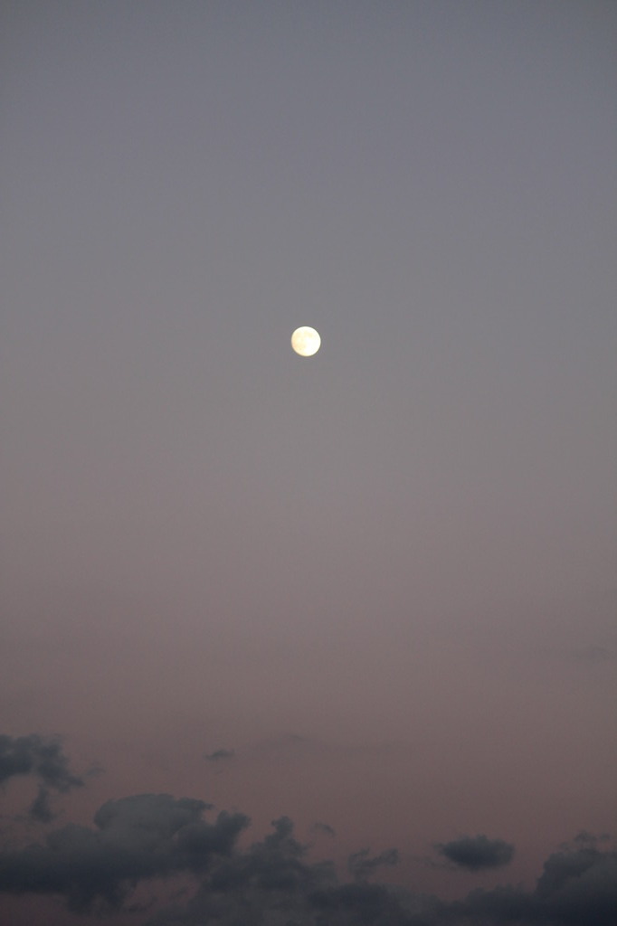 夕月