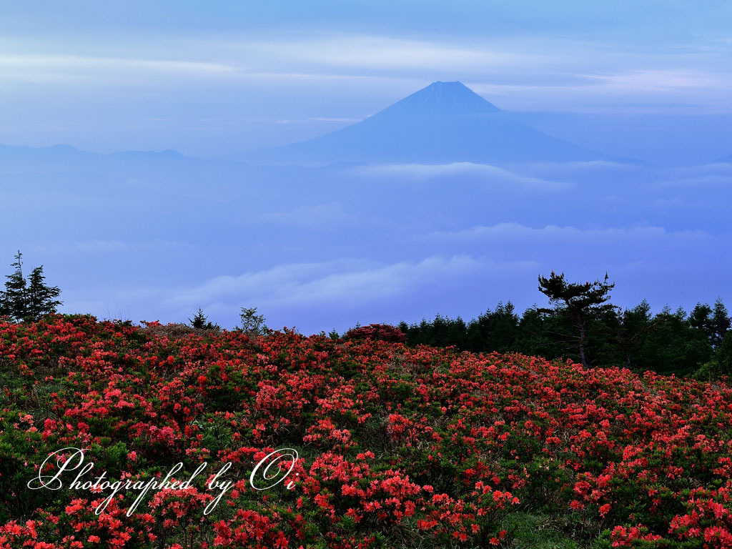 静寂の花園