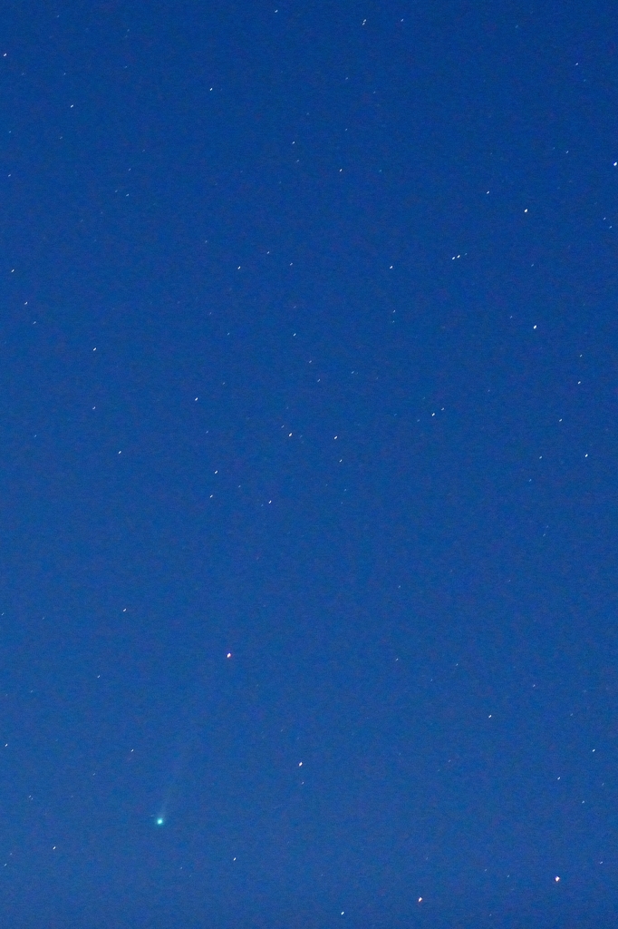 アイソン彗星 11/17 4:42