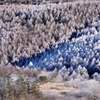 霧氷・樹氷