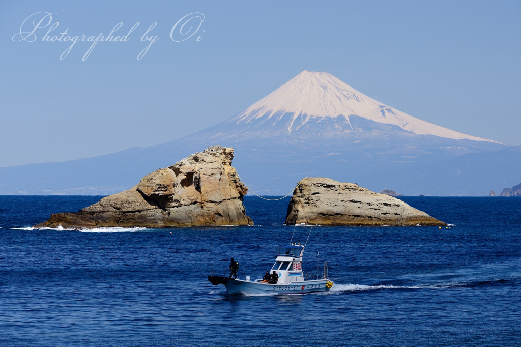 やわらかな海辺の景