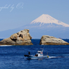 やわらかな海辺の景