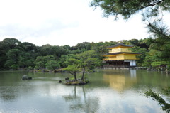Kinkaku Temple