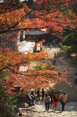 神護寺の秋