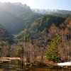 春光