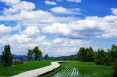 夏、始まります。