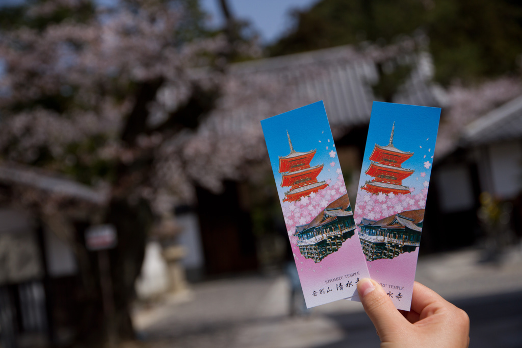 桜旅行^^