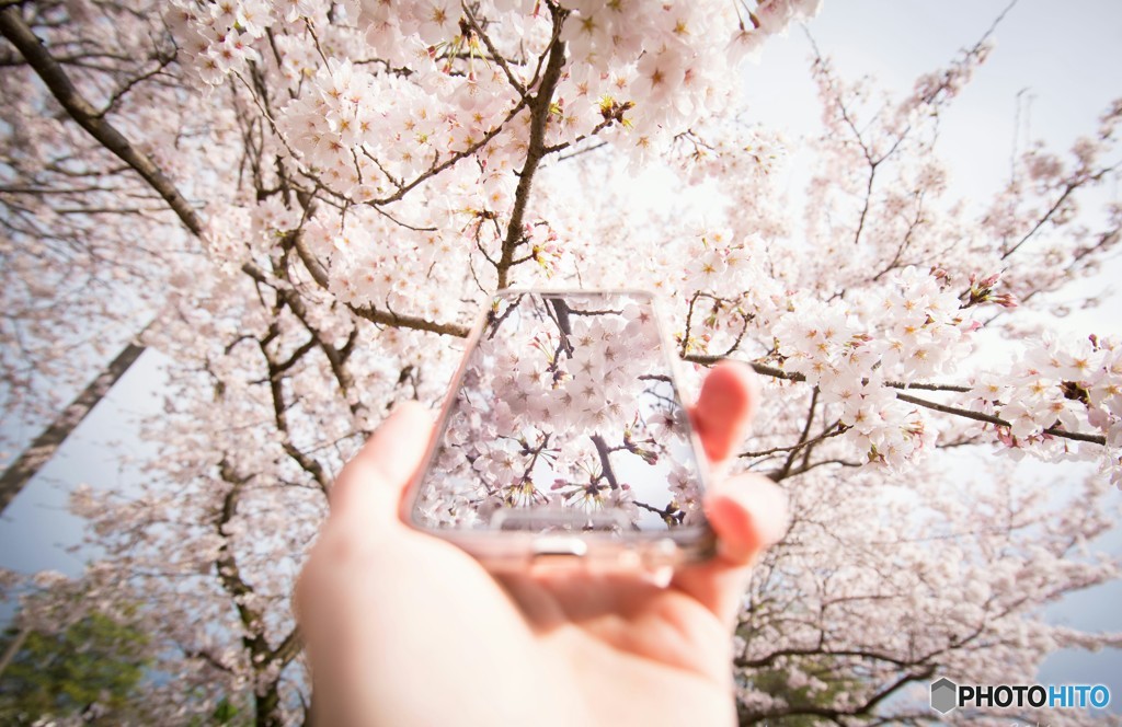 spring screen