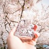 spring screen