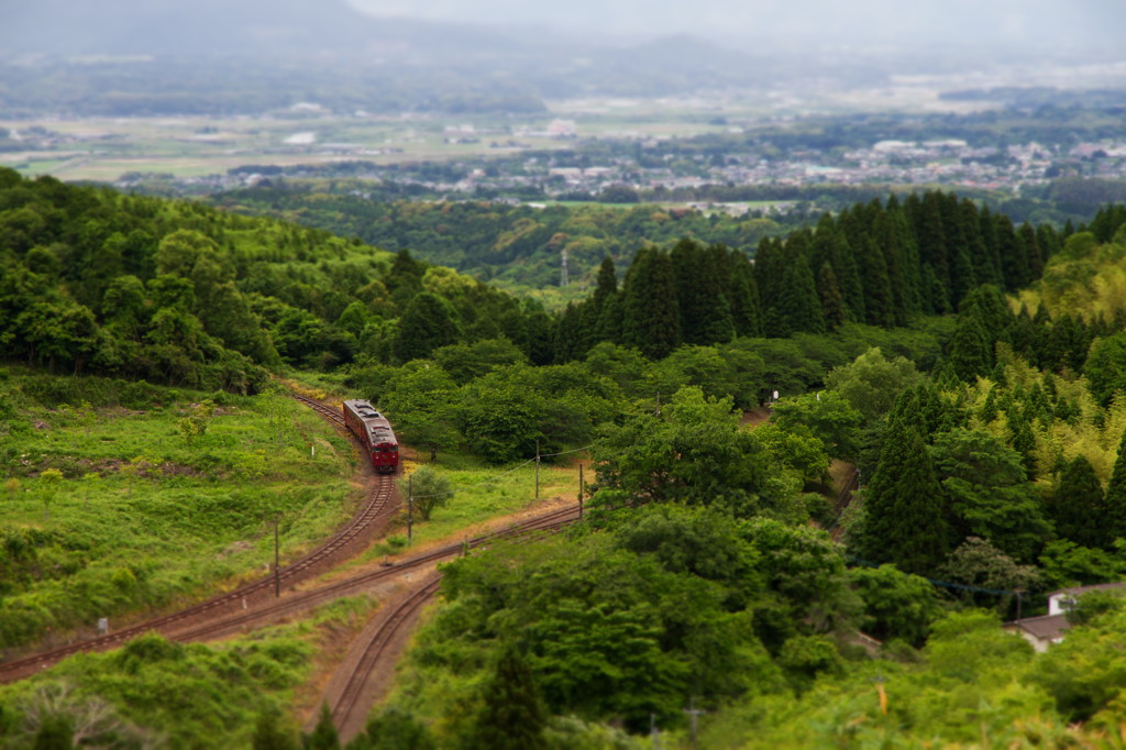 Loop line & Switchback 