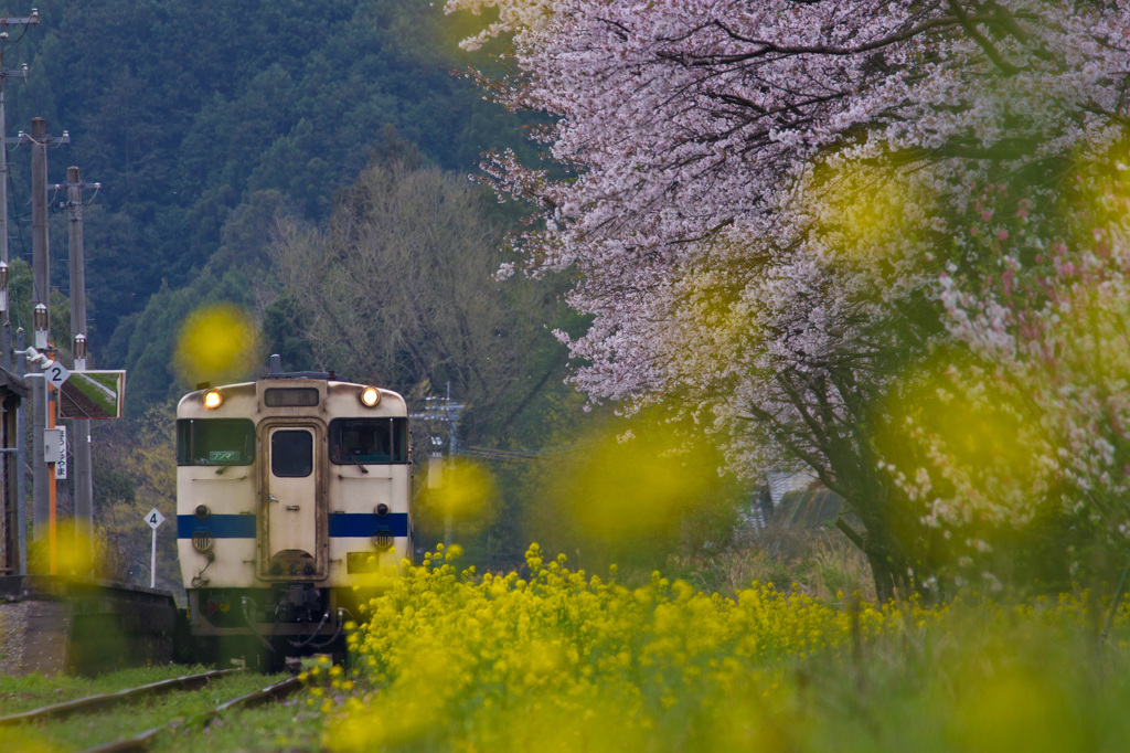 spring station