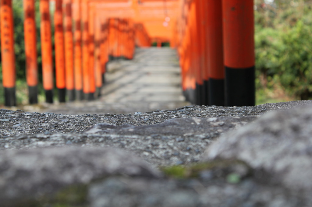 鳥居の足元