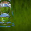 (green)