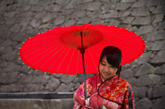 熊本に華