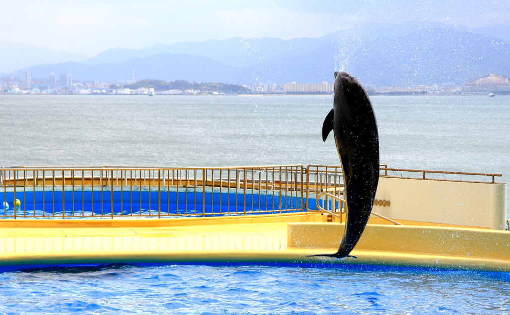 jumping !!