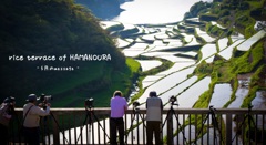 ☆rice terrace of HAMANOURA