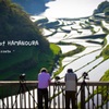 ☆rice terrace of HAMANOURA