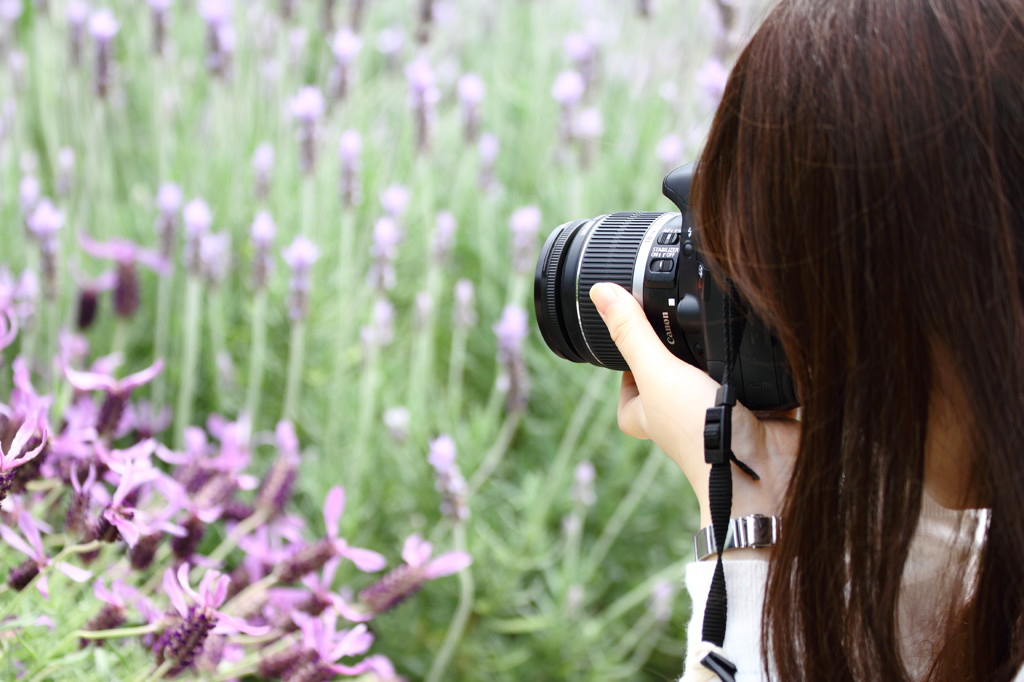 Camera Girl -lavender-