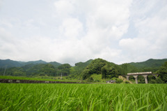 田舎の初夏