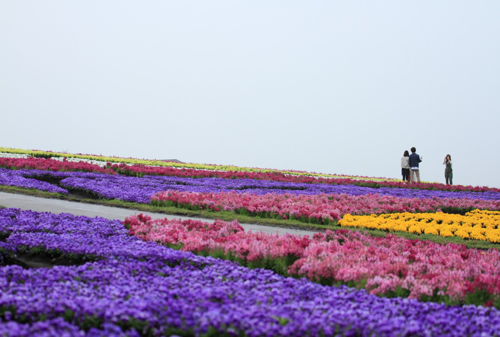 華、流るる