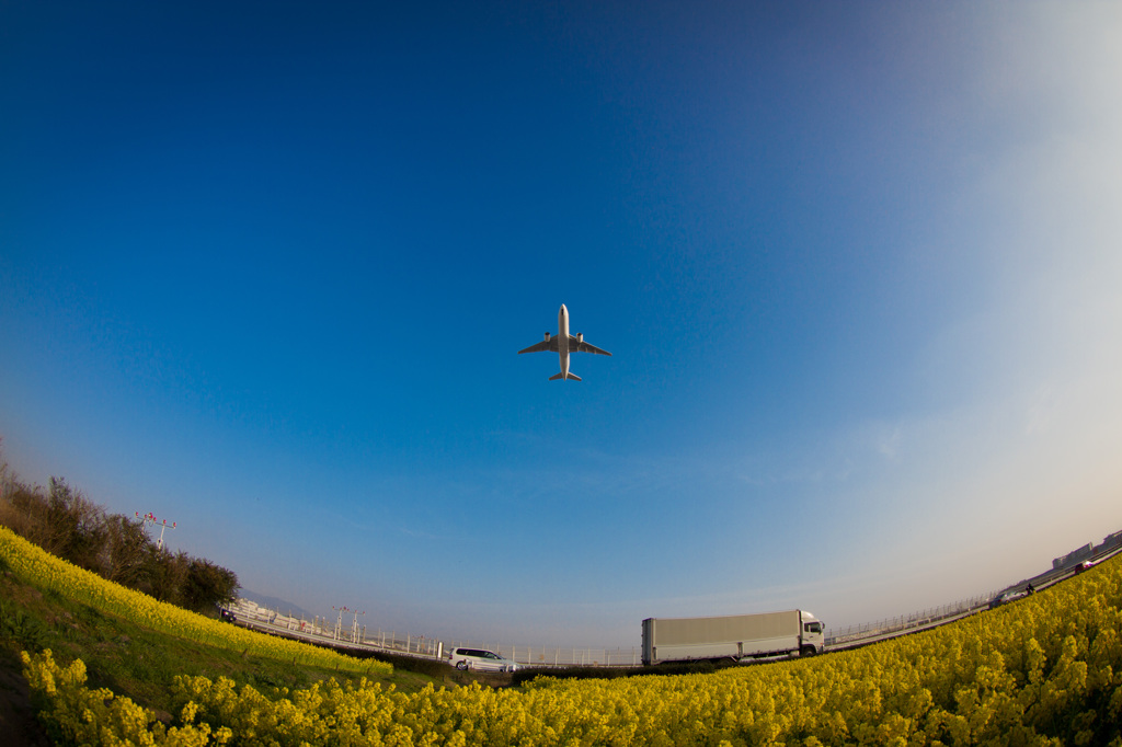 Spring fly away