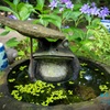 ☆梅雨の中休み