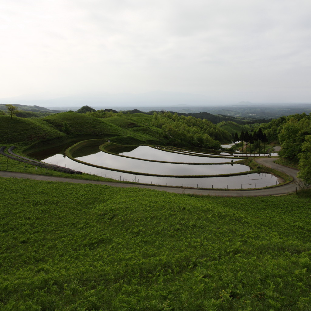 広大扇 -koudaiougi-