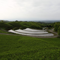 広大扇 -koudaiougi-