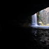 the natural world