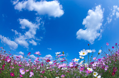 10月の空