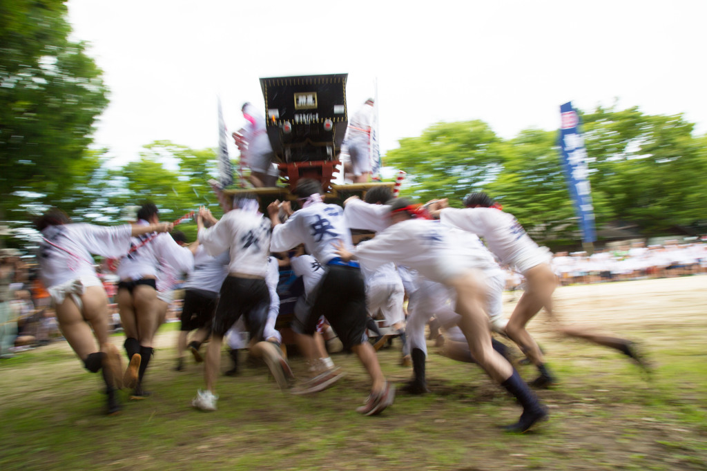 Japanese vigor