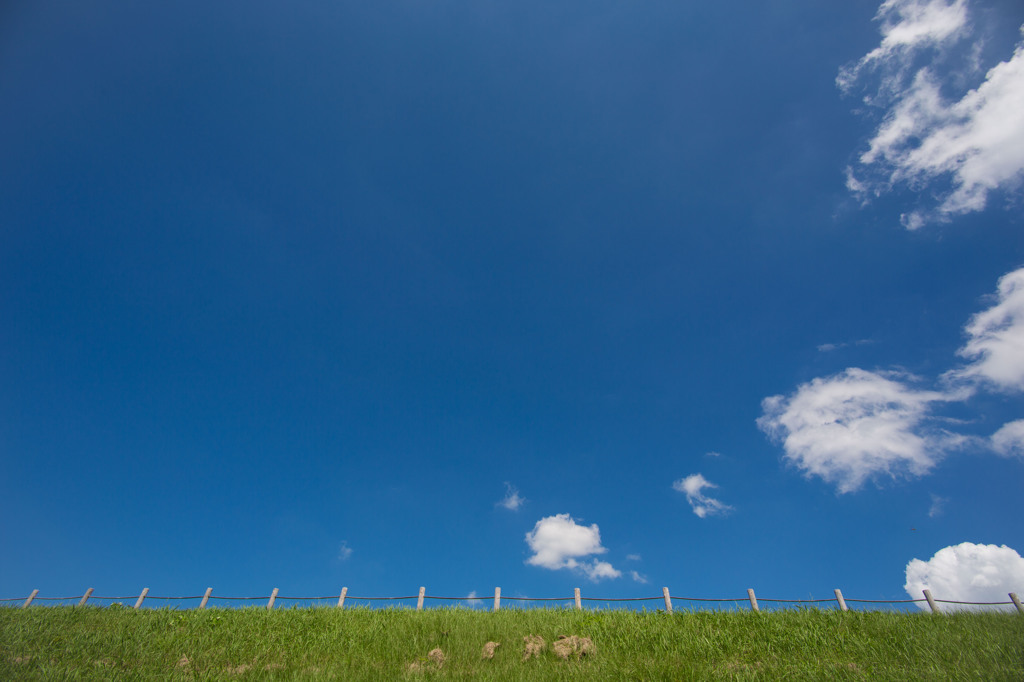 summer sky 