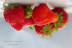 ☆Strawberry February