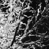 睦月雪椛  -mutsukisekka-