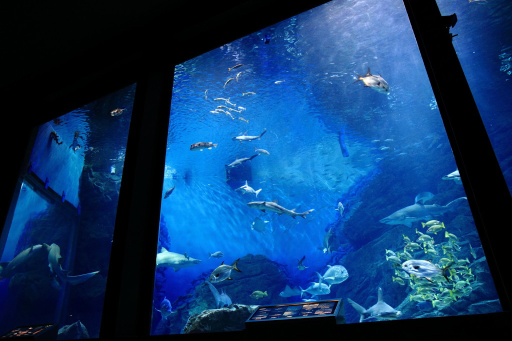 一枚の海