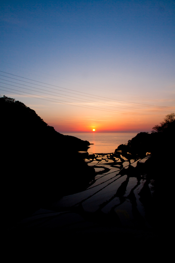 浜野浦の棚田