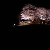 夜に現る夕月