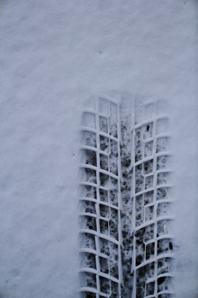 雪先　-yukisaki-
