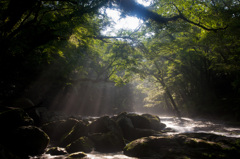菊池の朝