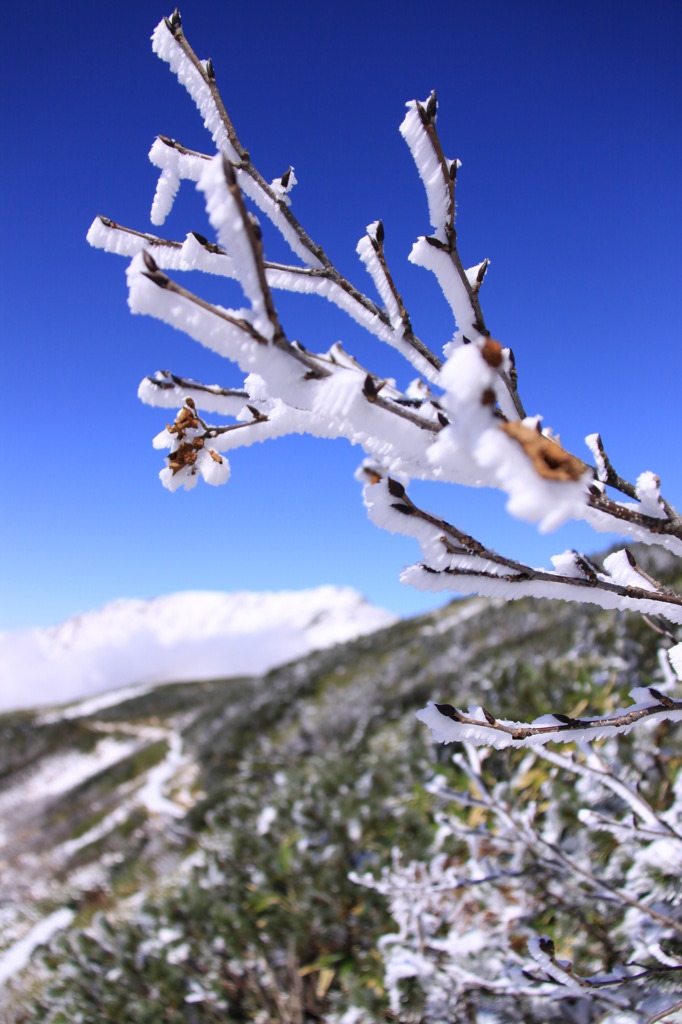 下に積る雪