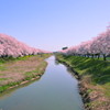 SAKURA River